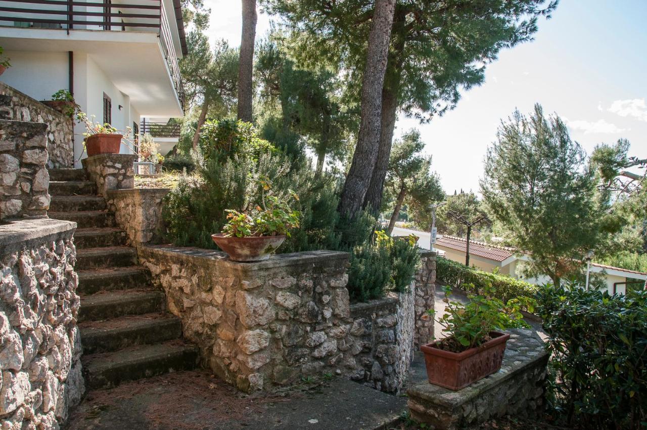 Casa Vacanza Kair Trilo 227 スペルロンガ エクステリア 写真
