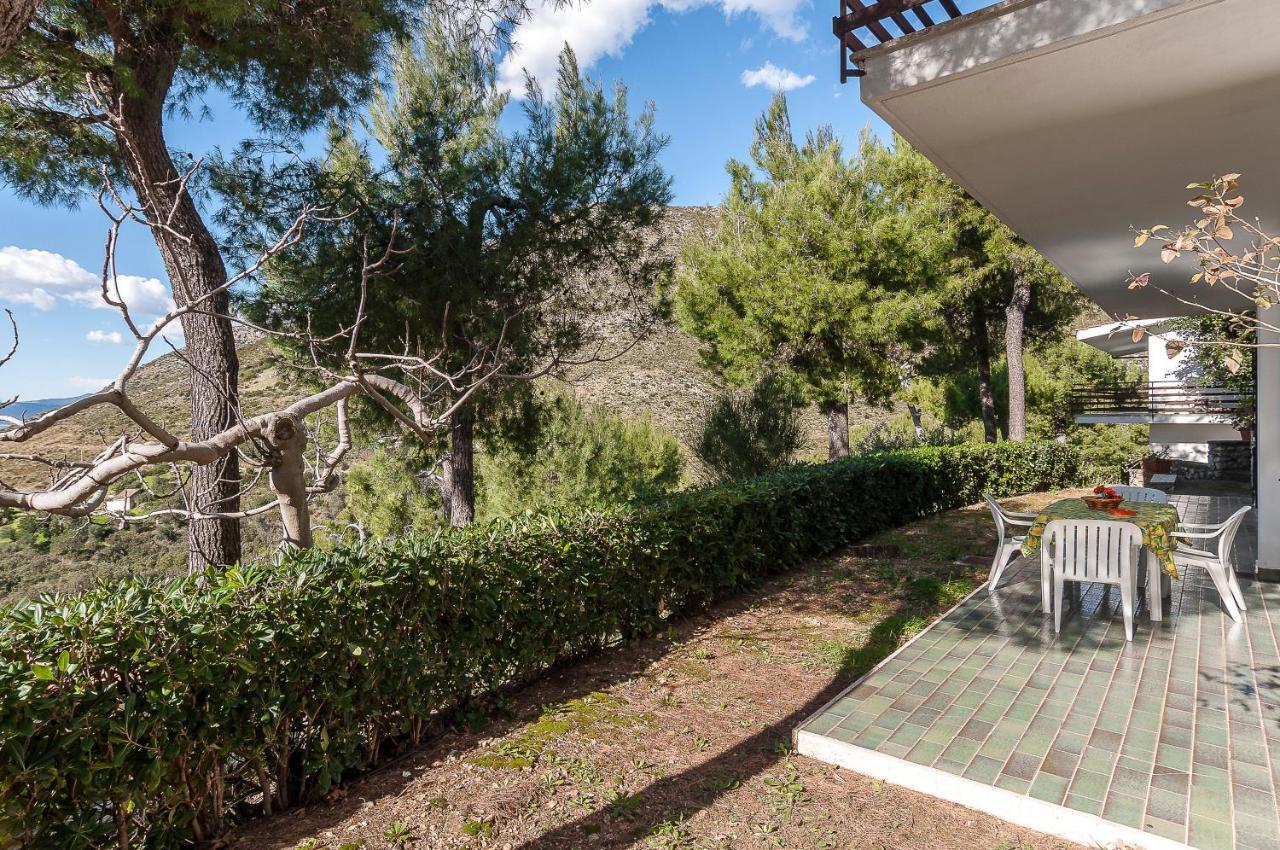 Casa Vacanza Kair Trilo 227 スペルロンガ エクステリア 写真